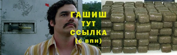 прущие грибы Пересвет