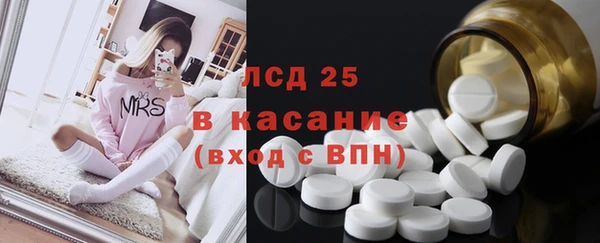 индика Абинск
