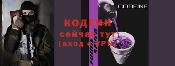 прущие грибы Пересвет