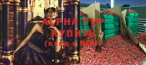 индика Абинск