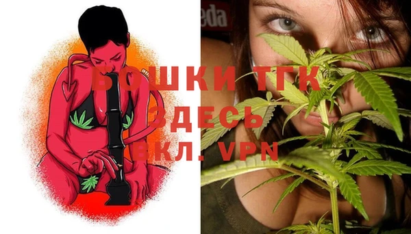 индика Абинск