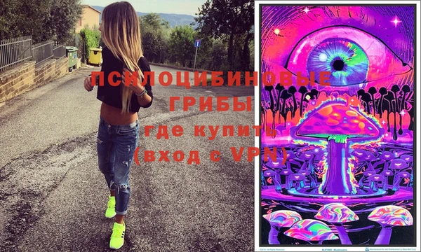 соль ск Абаза