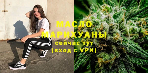 индика Абинск