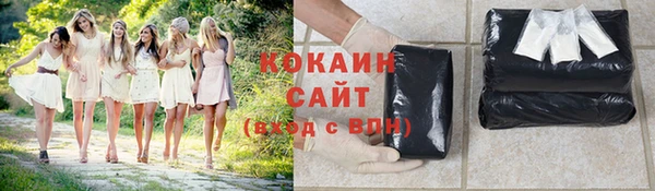 индика Абинск