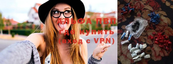 индика Абинск