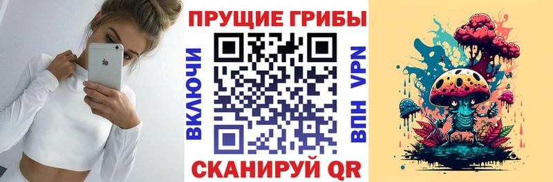 Псилоцибиновые грибы Magic Shrooms  блэк спрут как зайти  Рыльск 